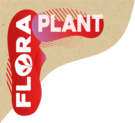 Flora Plant Boter